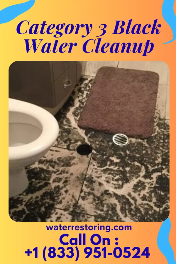 Category 3 Black Water Cleanup in Mason City, NE