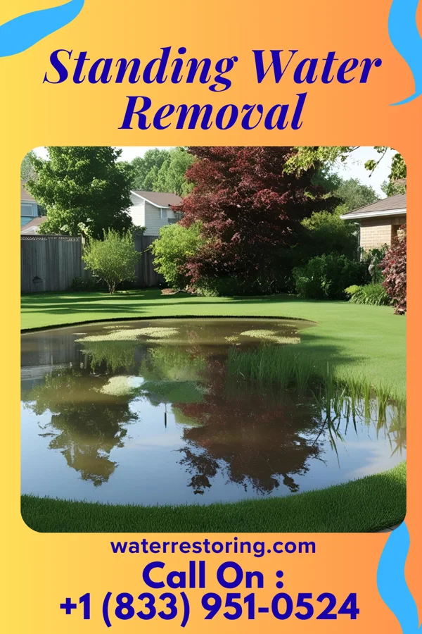 Standing Water Removal in Mason City, NE